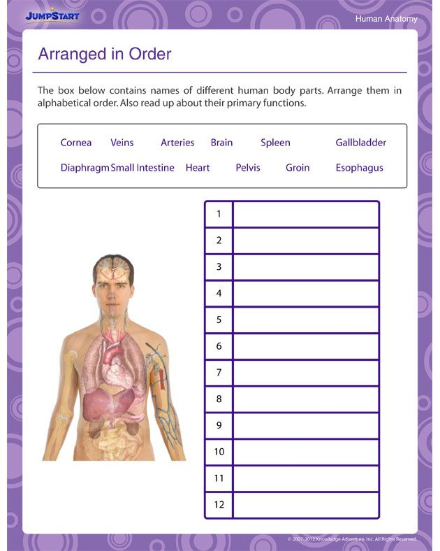 2Nd Grade Science Worksheets Printables