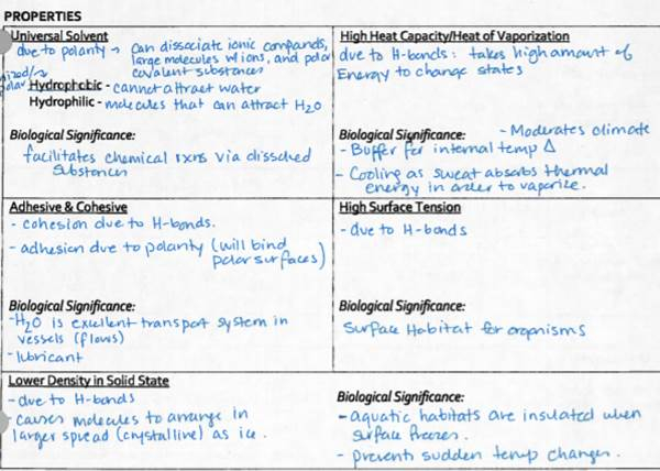 39 Bozeman Science Biological Molecules Worksheet Answers Worksheet Live