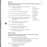 39 Science Skills Worksheet Answer Key Worksheet Works