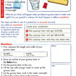 3rd Grade Science Experiment Worksheet