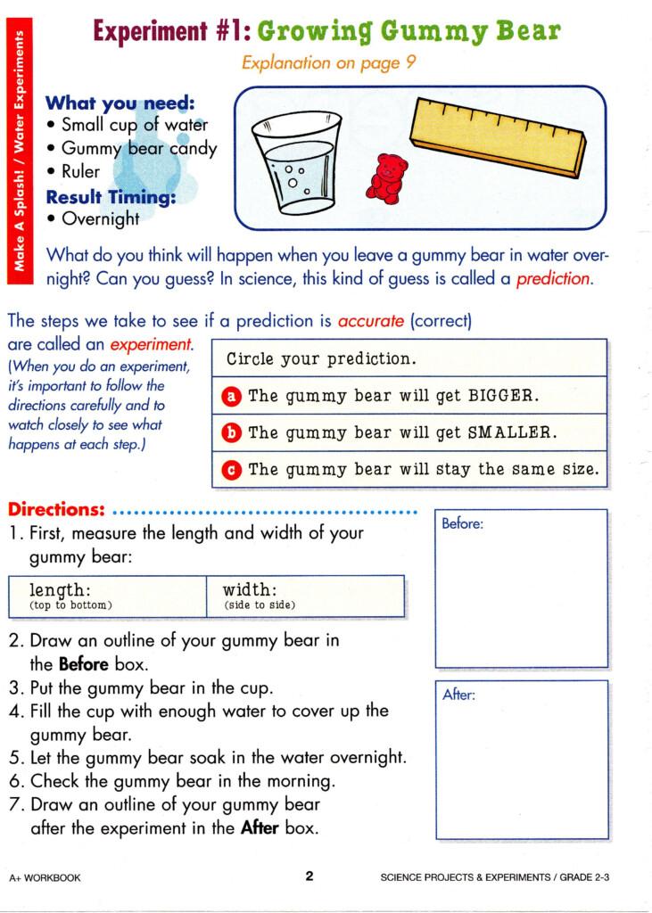 3rd Grade Science Experiment Worksheet