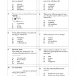 5th Grade Science Worksheet Packets