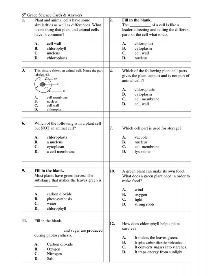 5th Grade Science Worksheet Packets