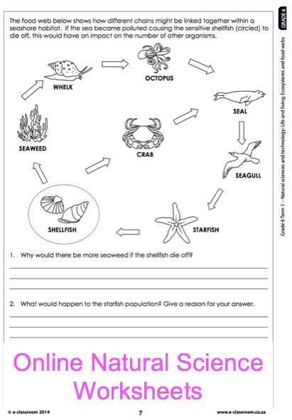 6th Grade Science Worksheets