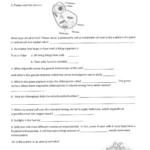 9Th Grade Science Worksheets Free Printable Lexia s Blog