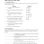 Biology Worksheets With Answers
