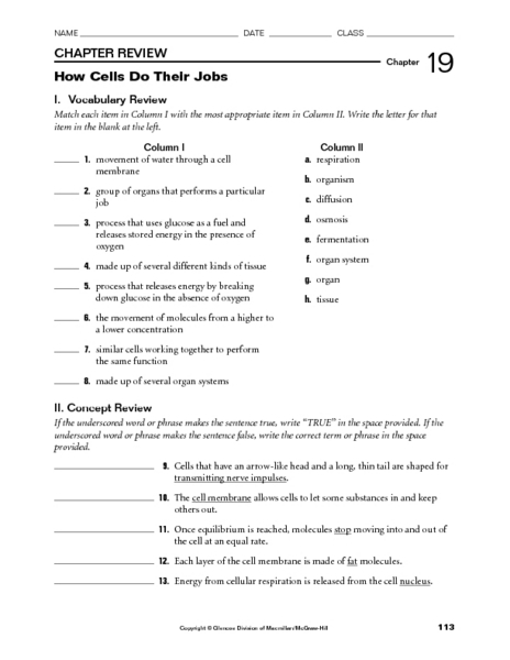 Biology Worksheets With Answers