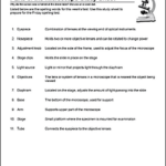 Careers In Forensic Science Worksheet Matching Answers Kind Worksheets