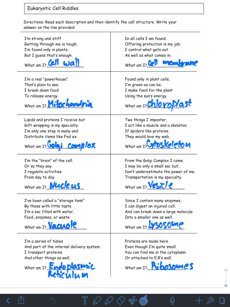 Cell Riddles Worksheet Answers Life Science A Worksheet Blog
