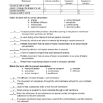 Cell Transport Worksheet Biology Answers