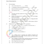 Class 6 Science Chapter 8 Worksheet A Worksheet Blog Kulturaupice