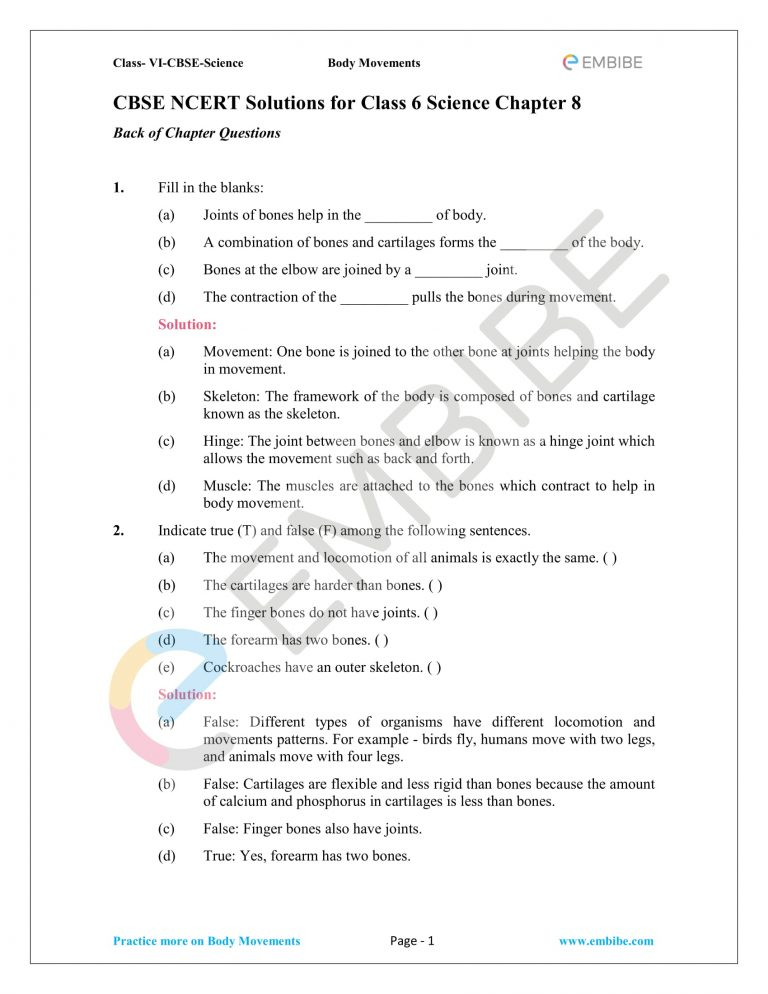 Class 6 Science Chapter 8 Worksheet A Worksheet Blog Kulturaupice