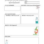 Experiment Worksheet Kindergarten