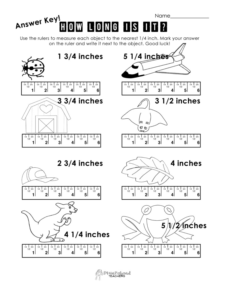 Ezpz Science Mesurment Worksheet