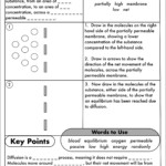 GCSE Biology Diffusion Osmosis And Active Transport Worksheet Pack