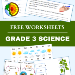 Grade 3 Science Worksheets