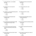 Grade 4 Science Worksheets With Answers