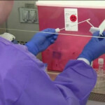 Healthwatch 16 Science Behind Flu Testing Wnep