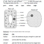 Iman s Home School Key Stage 3 Science Revision Worksheets Years 7 9