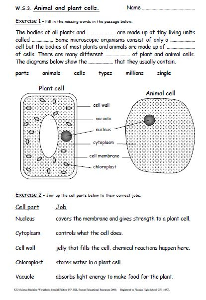 Iman s Home School Key Stage 3 Science Revision Worksheets Years 7 9 
