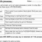 KS3 REVISION SCIENCE WORKSHEET Teaching Resources