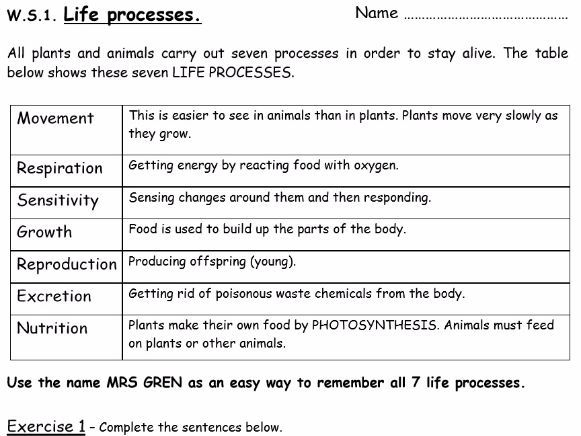 KS3 REVISION SCIENCE WORKSHEET Teaching Resources