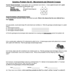Monohybrid Cross Practice Worksheet Answer Key Organicked