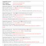 Mutations Worksheet Answer Key