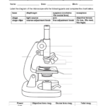 Parts Of A Microscope Worksheet