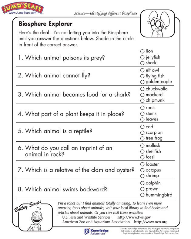 Printable Science 3rd Grade Worksheets
