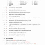 Printable Worksheets Science Answer Key
