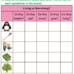 Science 1st Grade Worksheets