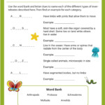 Science 4 Worksheets zipped The Teacher s Craft