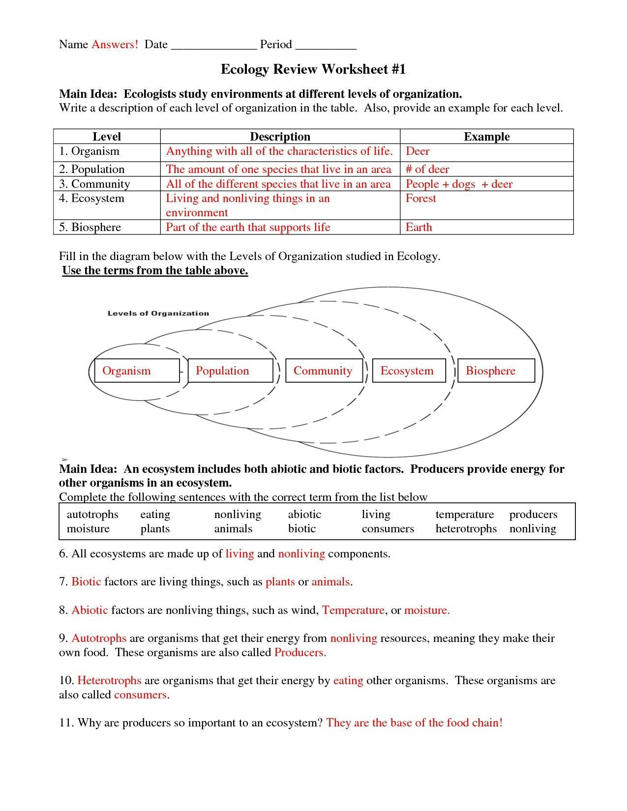 Science Worksheets For 5th Grade