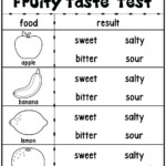 Science Worksheets For Kids
