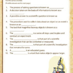 Scientific Process Worksheet 4Th Grade