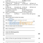 Social Science Worksheet