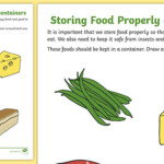 Storing Food Properly Containers Worksheet teacher Made