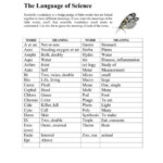 The Language Of Science Worksheet Answers Worksheet
