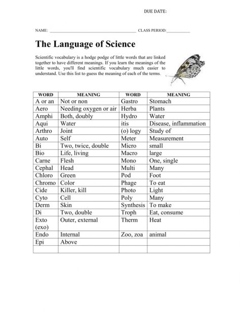 The Language Of Science Worksheet Answers Worksheet