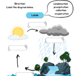 The Water Cycle Worksheets WorksheetsGO