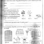 Worksheet For Science Grade 3