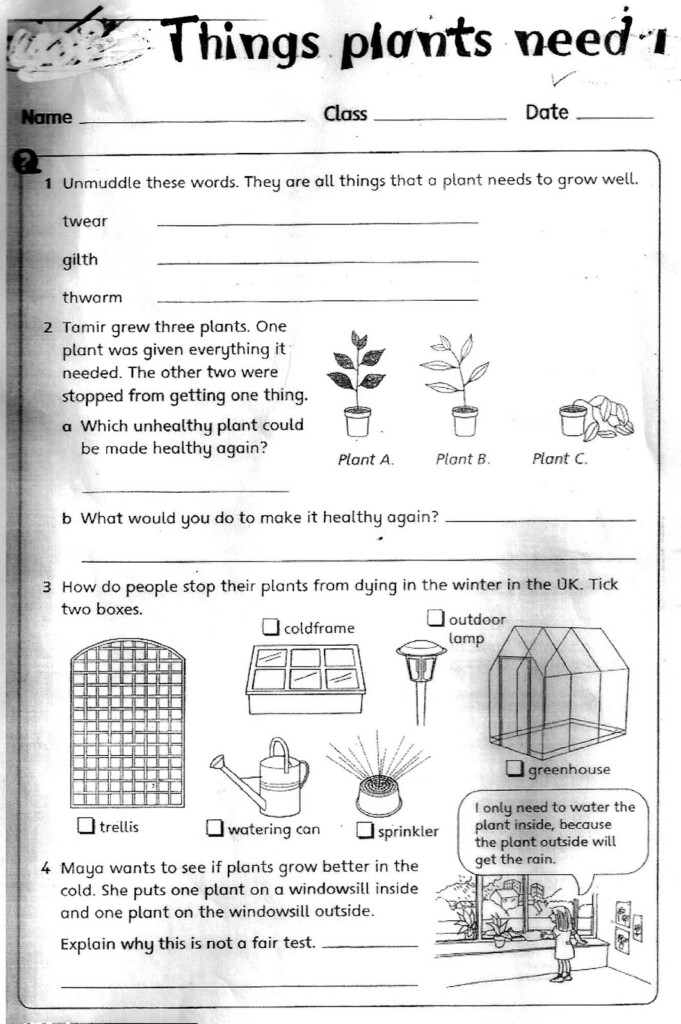 Worksheet For Science Grade 3