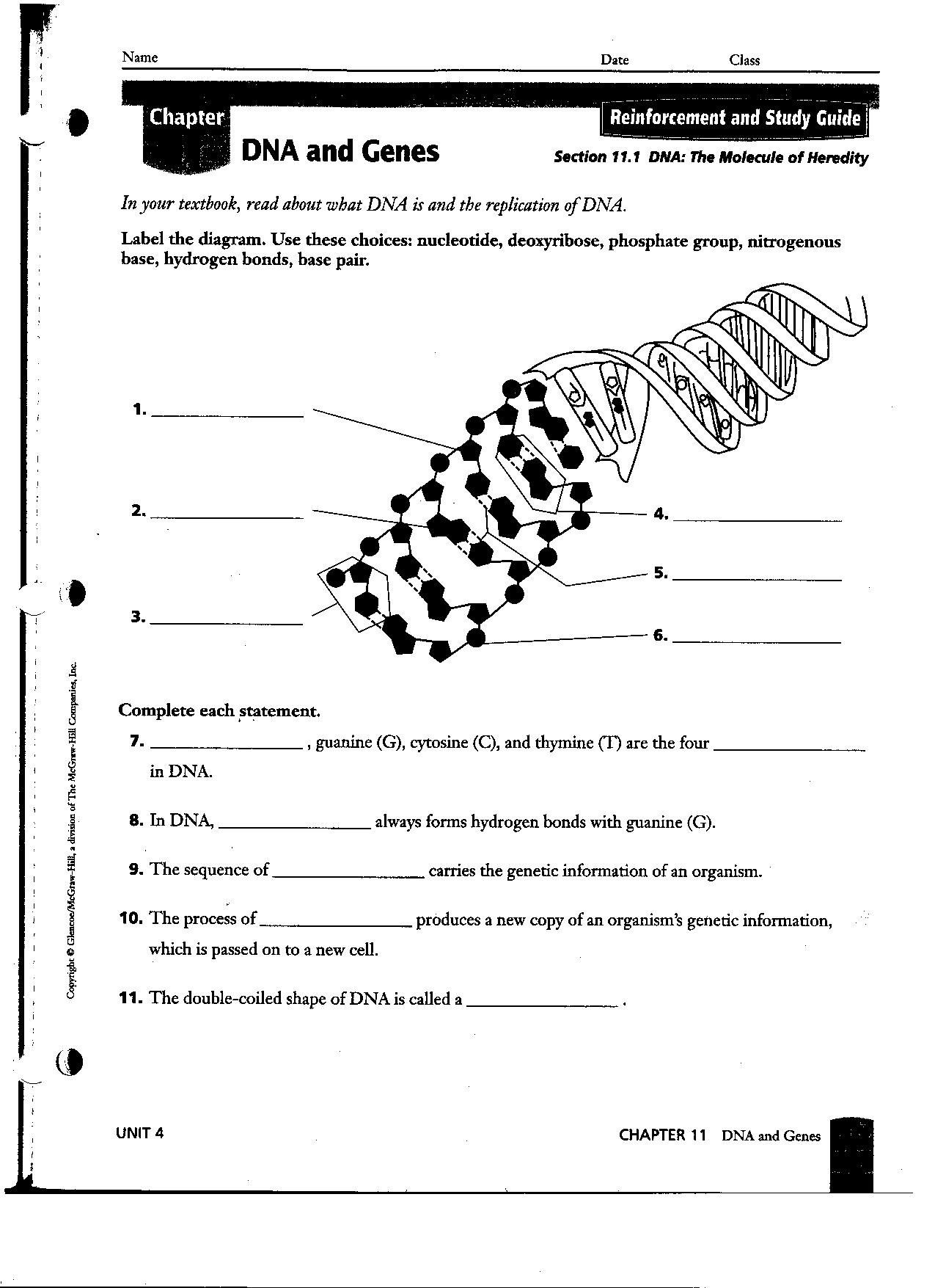 11Th Grade Science Worksheets