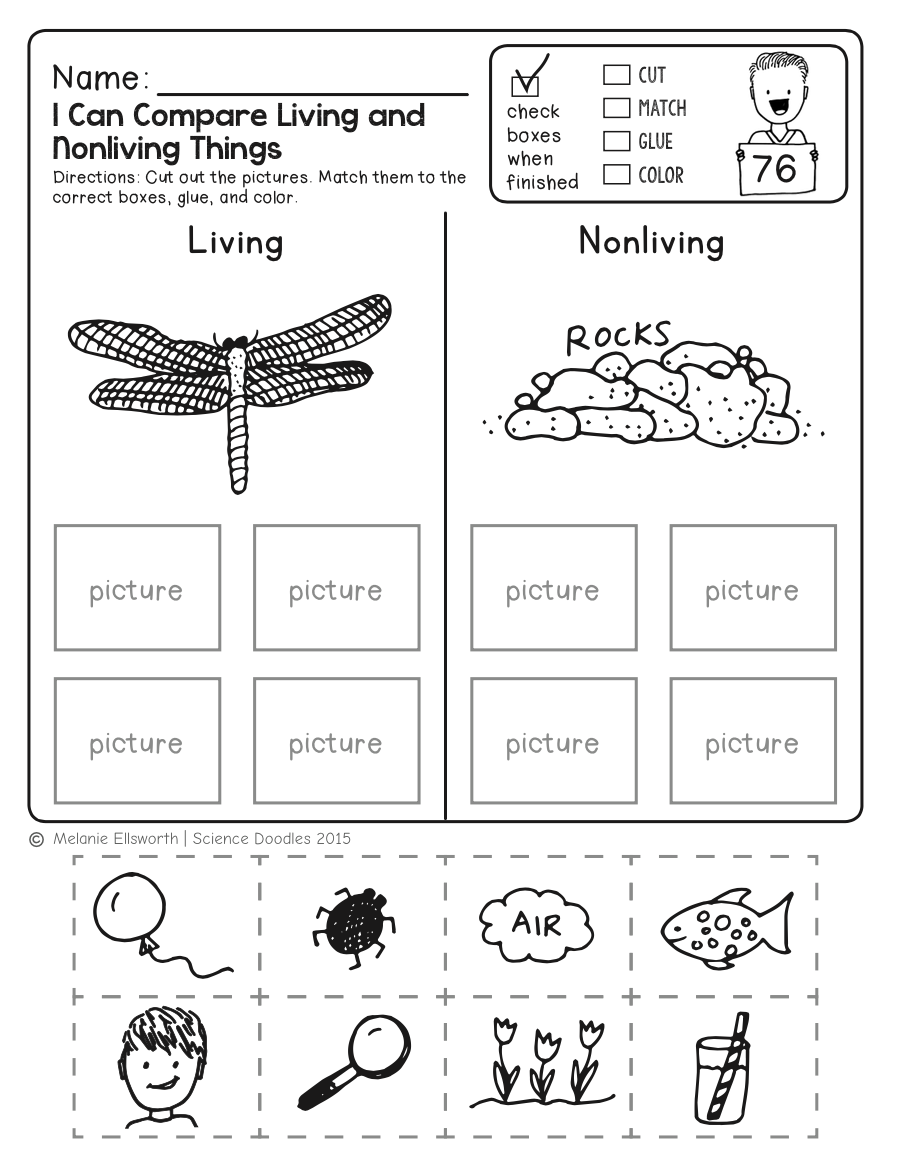 20 Free Printable Kindergarten Science Worksheets Worksheets Decoomo