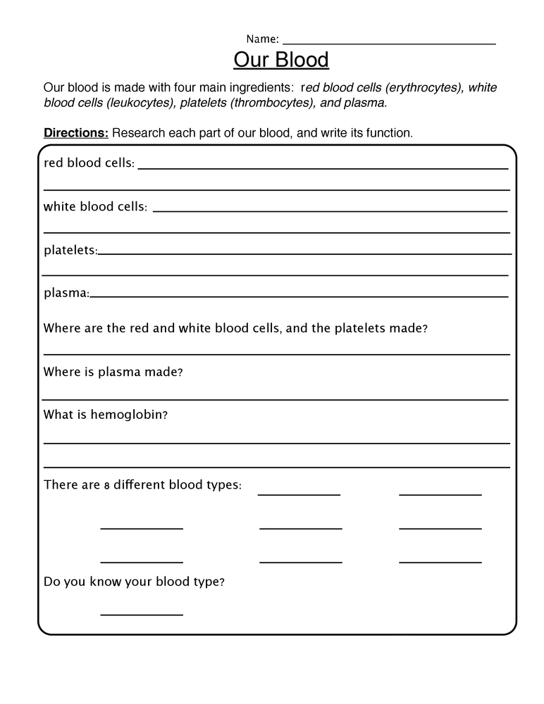 4th Grade Science Worksheets Best Coloring Pages For Kids