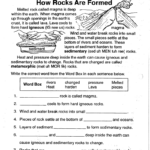 6th Grade Science Worksheets With Answer Key Pdf Askworksheet