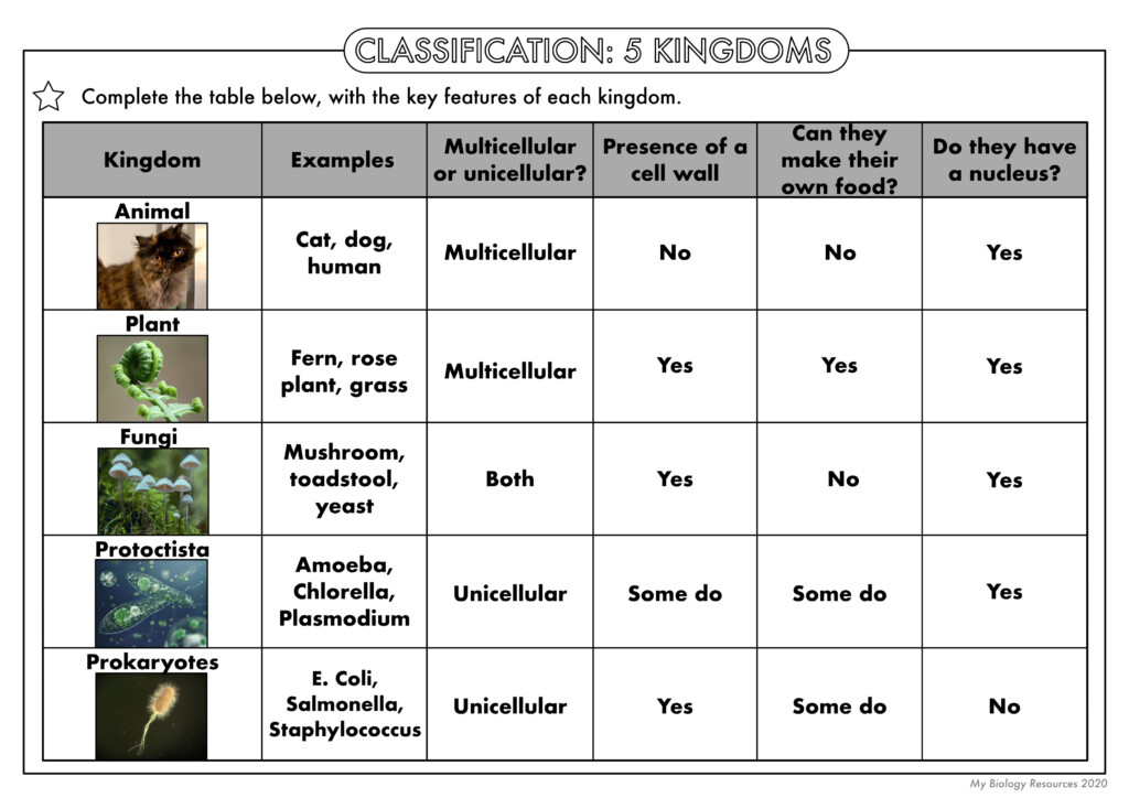 Biological Classification Worksheet Answer Key