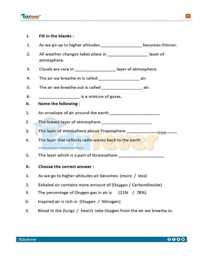 Download CBSE Class 5 Science Activity Worksheet In PDF