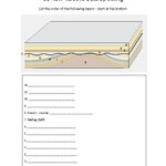 Earth Science Chapter 6 Relative Dating Worksheet Quiz Worksheet